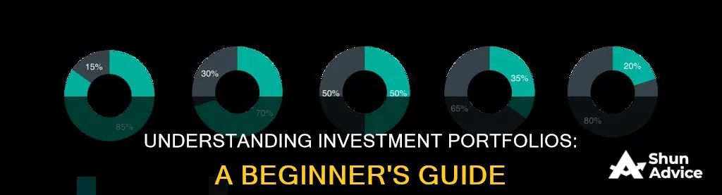 how to understand investment portfolio