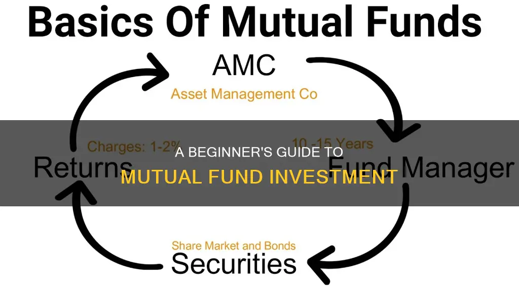 how to understand mutual fund investment