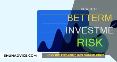 Maximizing Investment Returns: Increasing Risk for Betterment