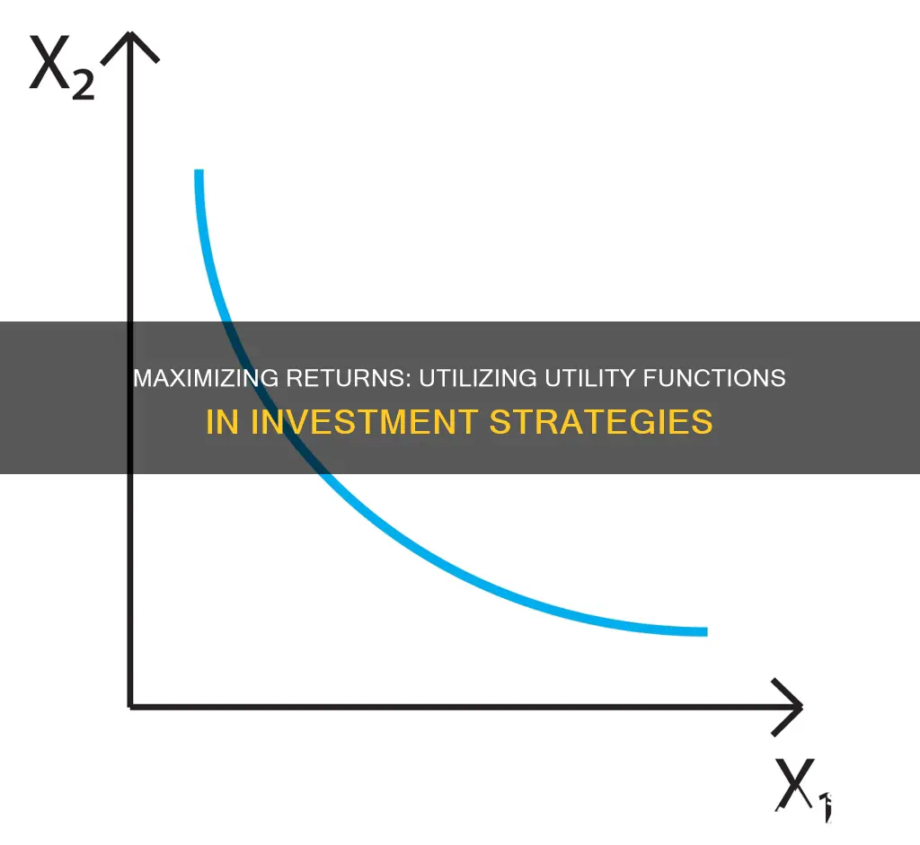 how to use a utility function in investment