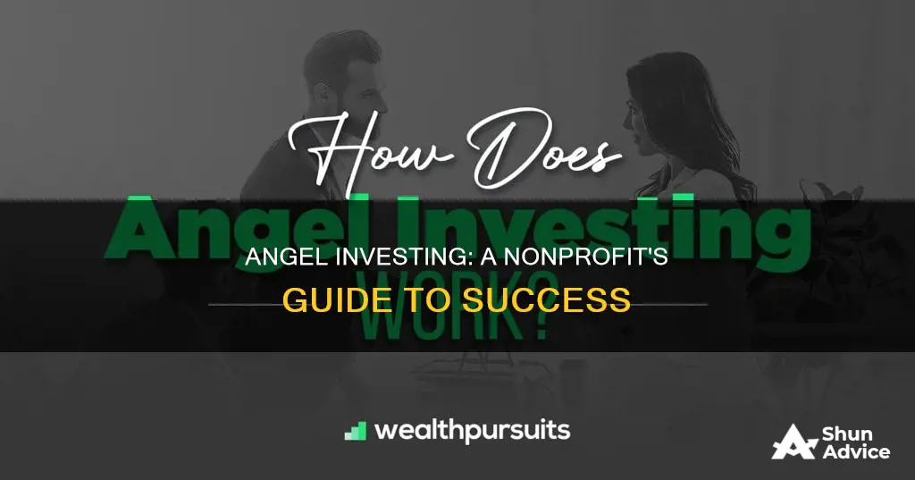 how to use angel investing for nonprorfits