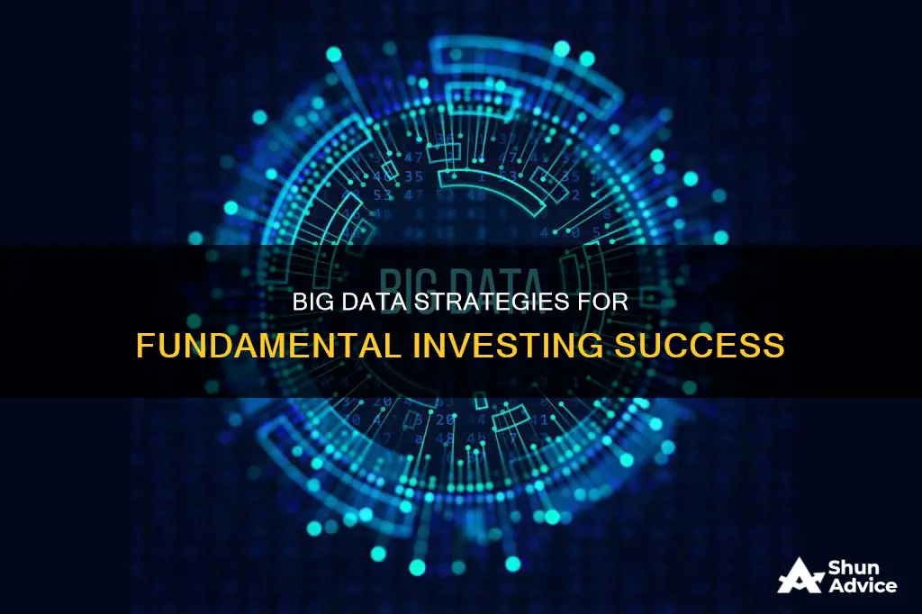 how to use big data for fundamental investing