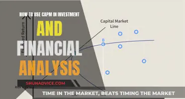 Using CAPM for Effective Investment and Financial Analysis