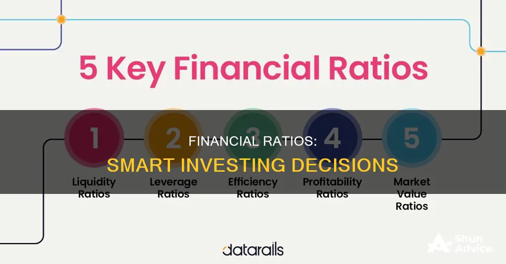 how to use financial ratios to make investment decisions