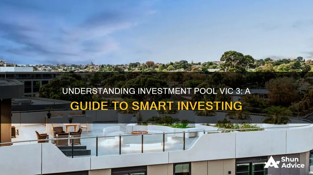 how to use investment pool vic 3