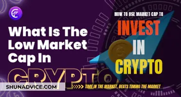 Market Cap Crypto Investing: A Guide to Success