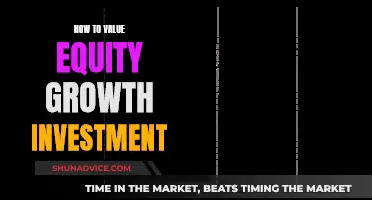 Valuing Equity Growth Investments: Strategies for Success