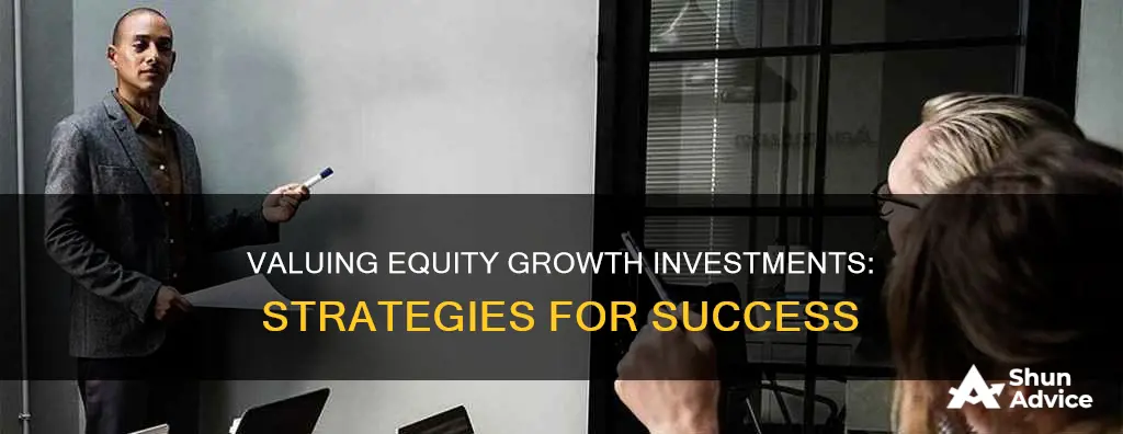 how to value equity growth investment