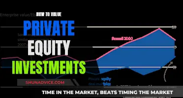 Valuing Private Equity Investments: Strategies for Success