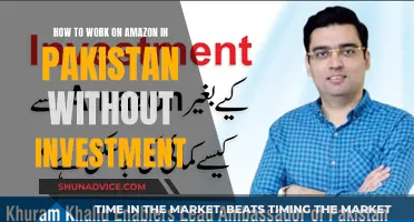 Amazon Work-From-Home Tips: Pakistan's Guide to Earning Without Investment