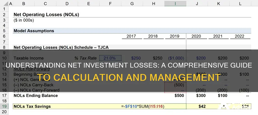 how to work out total net investment losses