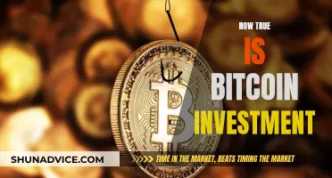 Bitcoin Investment: Is it a Smart Move?