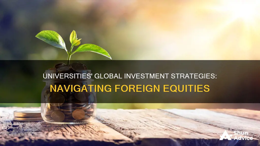 how universities invest foreign equities