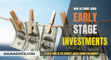 Judging Early-Stage Investments: VCs' Strategies and Secrets