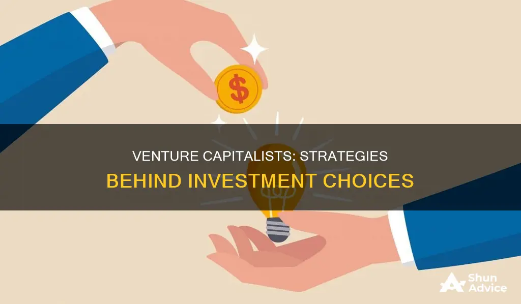 how venture capitalists make investment choices