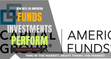 American Funds Investments: Performance and Insights