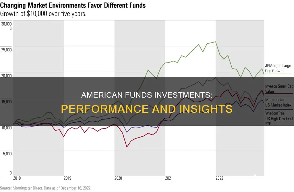 how well do amedican funds investments perform