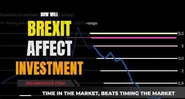 Brexit's Investment Impact: Navigating the Uncertain Terrain