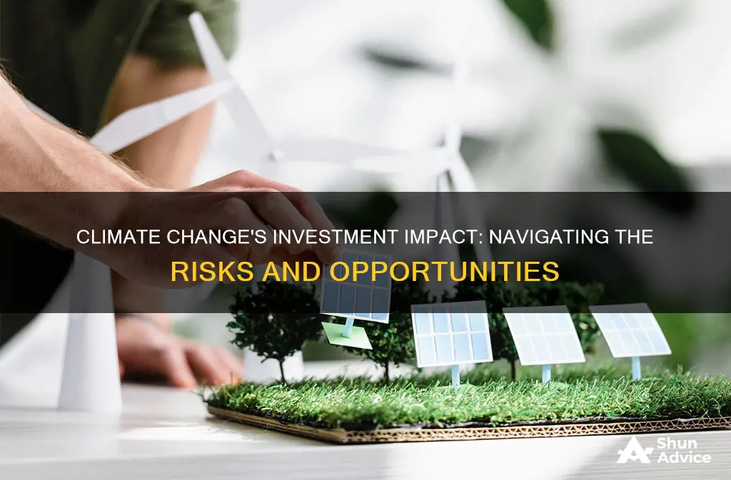 how will climate change impact investments