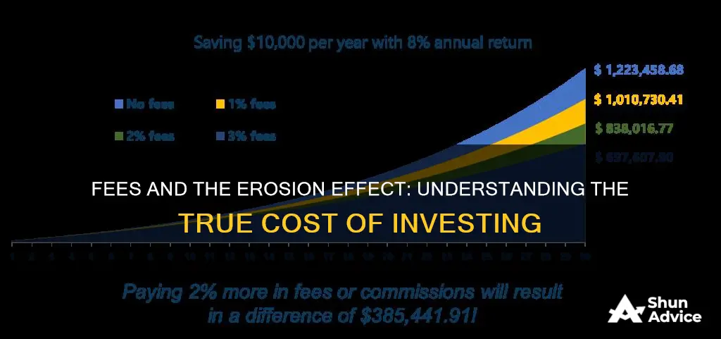 how will fees impact my investment