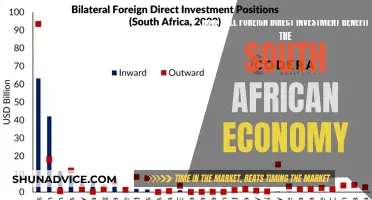 Foreign Direct Investment: Unlocking South Africa's Economic Growth Potential