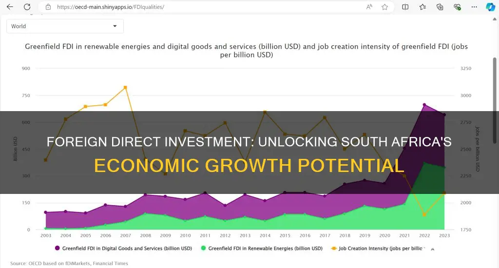 how will foreign direct investment benefit the south african economy