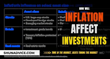 The Inflation Conundrum: Navigating the Investment Landscape