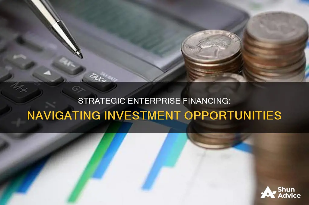 how will the enterprise finance the investment