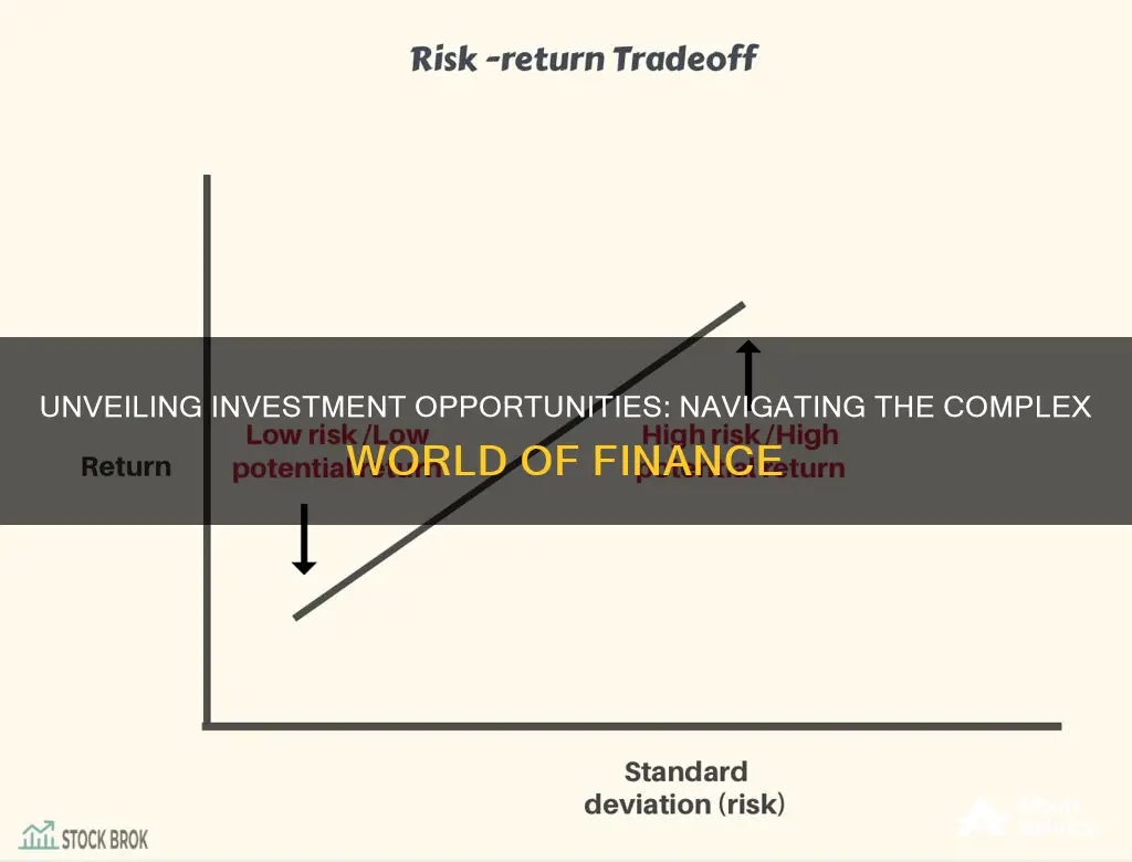 how will you determine the investment opportunities