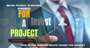 Unveiling the Art of Identifying Investment Opportunities for Projects