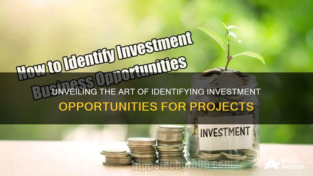 how will you identify the investment opportunities for a project