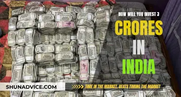 Smartly Investing 3 Crores in India: A Comprehensive Guide