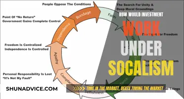 Socialism's Investment Model: A Guide to Collective Wealth Creation