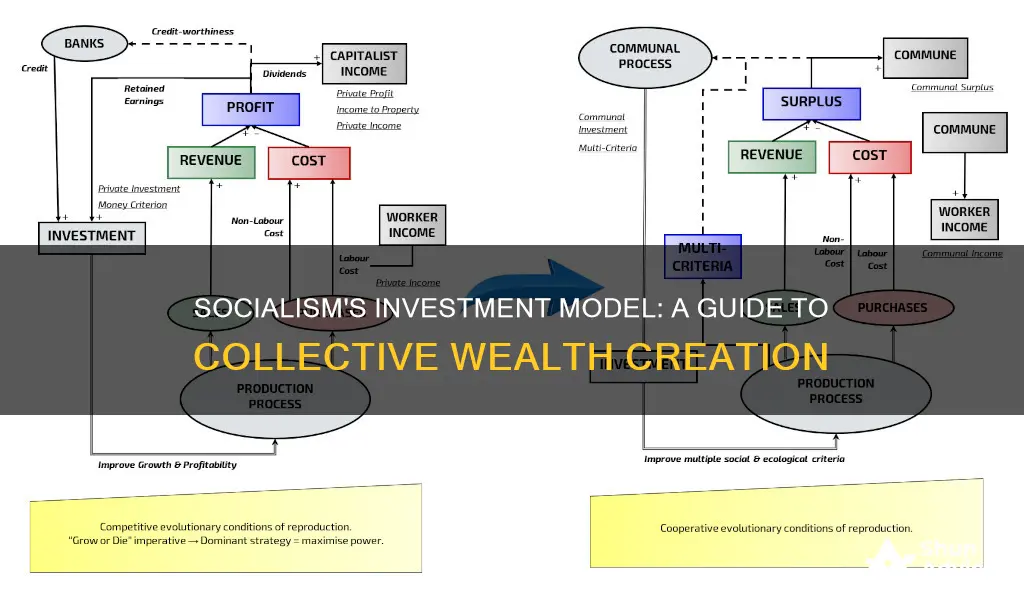 how would investment work under socalism