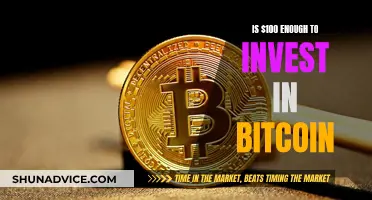 A Small Bitcoin Investment: Is It Worth It?