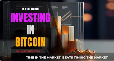 Should You Invest $100 in Bitcoin?