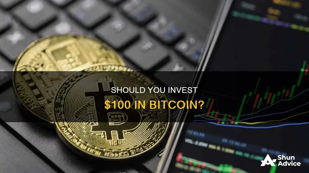 is $100 worth investing in bitcoin