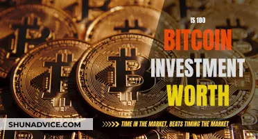 Investing in Bitcoin: Is $100 Enough to Get Started?