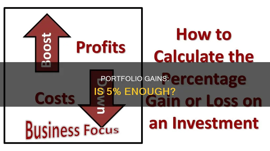 is 5 gain in an investment portfolio resonable