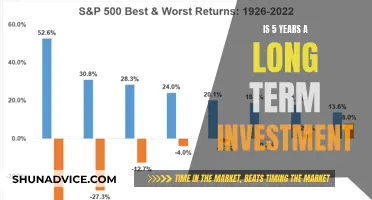 Unlocking the Long-Term: 5 Years as a Strategic Investment Horizon