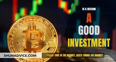 Bitcoin: A Smart Investment Move?