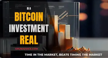 Bitcoin Investment: Is It Really Worth It?