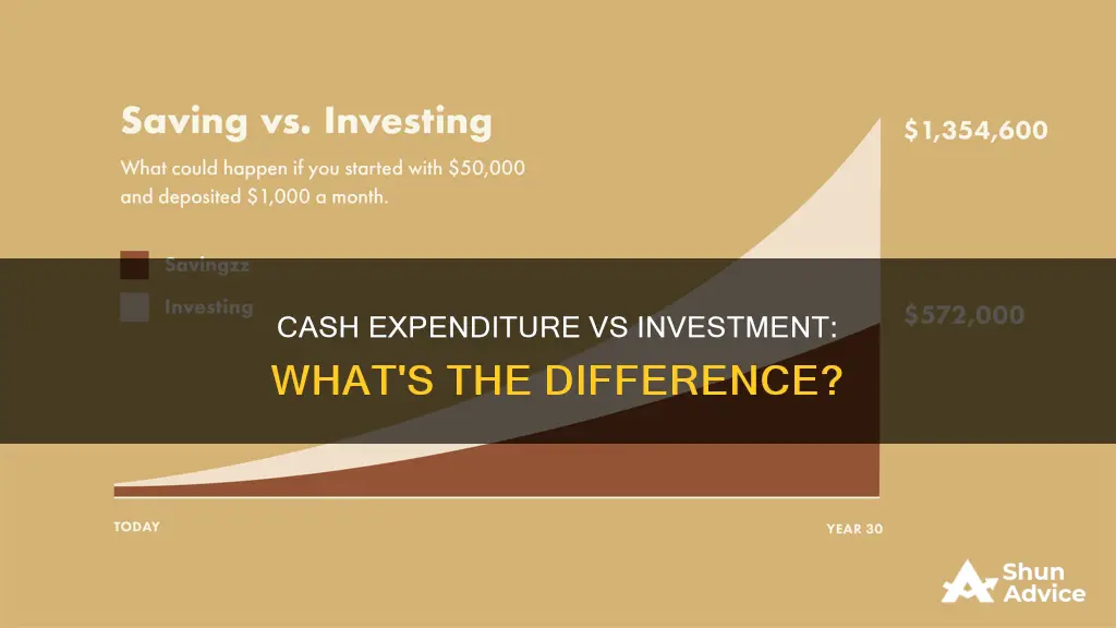 is a cash expenditure the same as investment