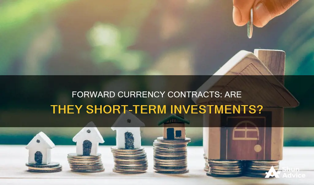 is a forward currency contract a short-term investment