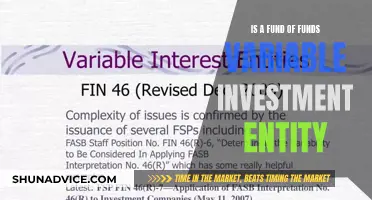 What Makes a Fund of Funds a Variable Investment Entity?