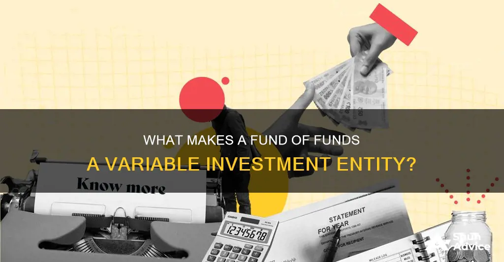 is a fund of funds variable investment entity