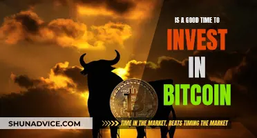 Bitcoin Investment: Right Time to Take the Plunge?