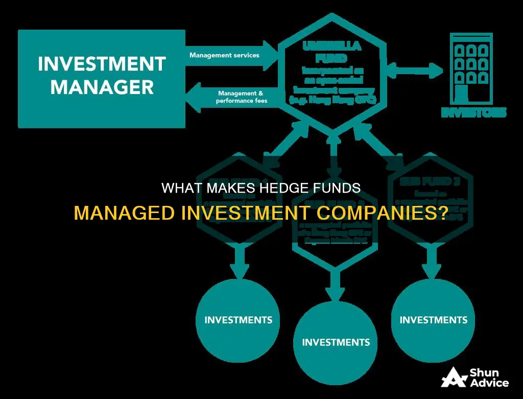 is a hedge fund a managed investment company