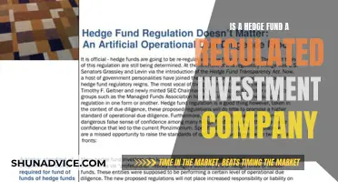 Hedge Funds: Regulated Investment Companies?