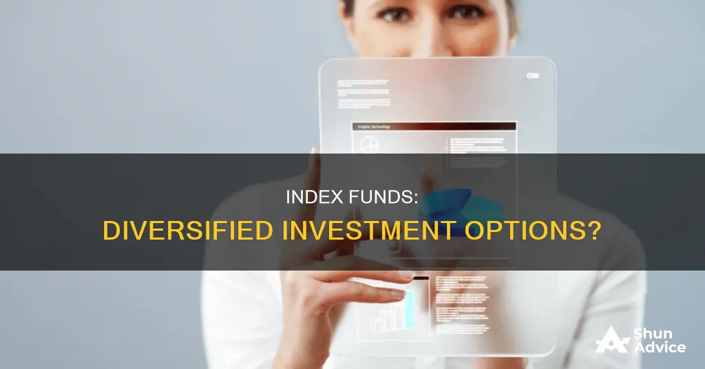 is a index fund a diversified investment